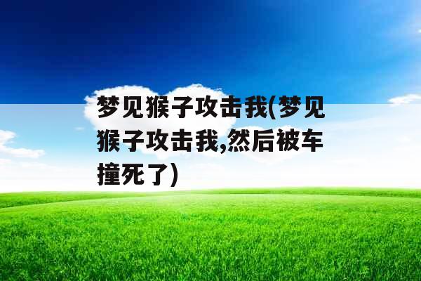 梦见猴子攻击我(梦见猴子攻击我,然后被车撞死了)