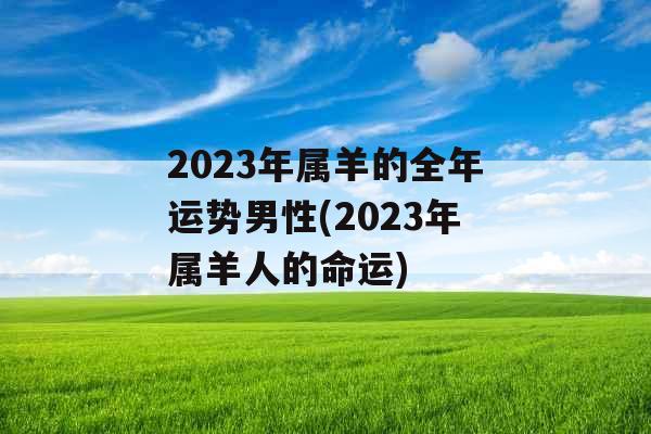 2023年属羊的全年运势男性(2023年属羊人的命运)