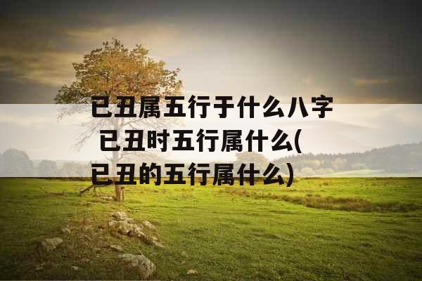 已丑属五行于什么八字 已丑时五行属什么(已丑的五行属什么)