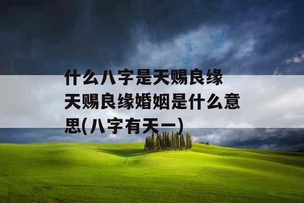 什么八字是天赐良缘 天赐良缘婚姻是什么意思(八字有天一)