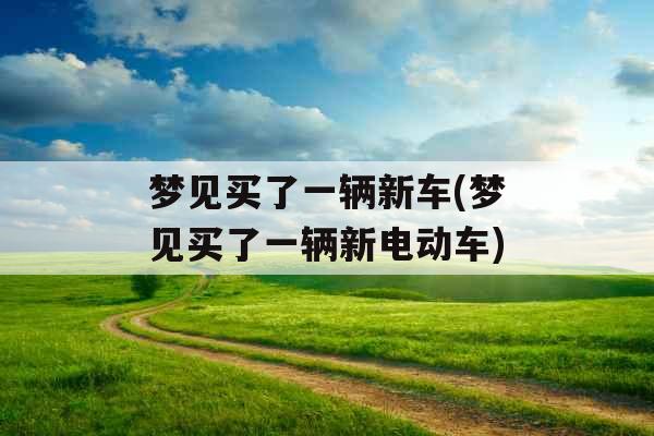 梦见买了一辆新车(梦见买了一辆新电动车) 梦见买了一辆新车(梦见买了一辆新电动车)