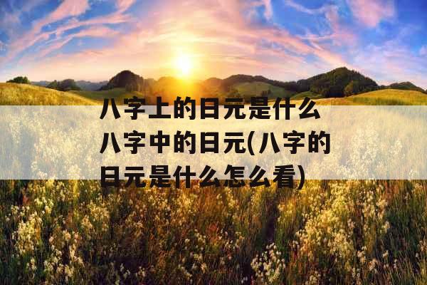 八字上的日元是什么 八字中的日元(八字的日元是什么怎么看)