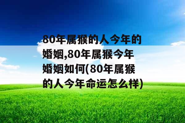 80年属猴的人今年的婚姻,80年属猴今年婚姻如何(80年属猴的人今年命运怎么样)