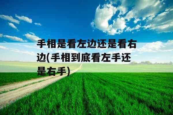 手相是看左边还是看右边(手相到底看左手还是右手)