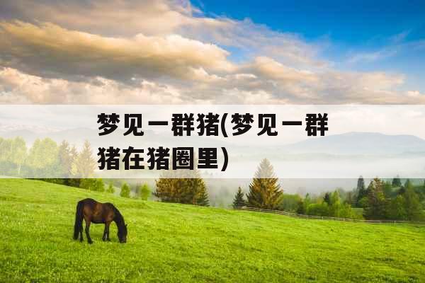 梦见一群猪(梦见一群猪在猪圈里)