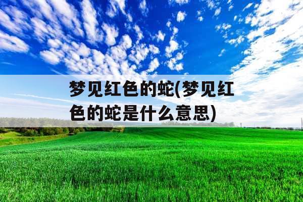 梦见红色的蛇(梦见红色的蛇是什么意思)
