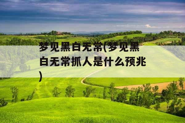 梦见黑白无常(梦见黑白无常抓人是什么预兆)