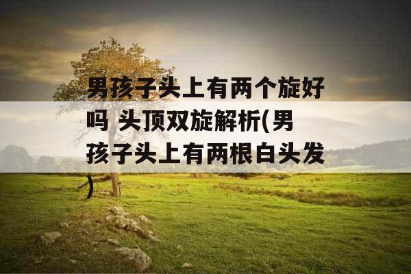 男孩子头上有两个旋好吗 头顶双旋解析(男孩子头上有两根白头发)