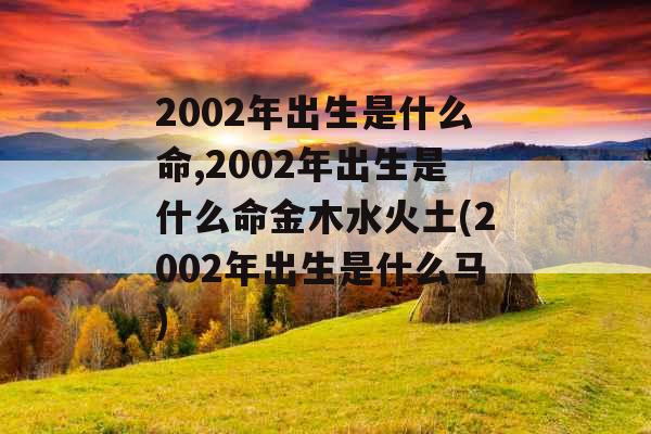 2002年出生是什么命,2002年出生是什么命金木水火土(2002年出生是什么马)