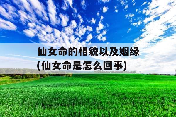 仙女命的相貌以及姻缘(仙女命是怎么回事)