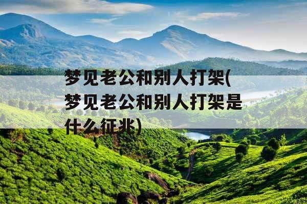 梦见老公和别人打架(梦见老公和别人打架是什么征兆)
