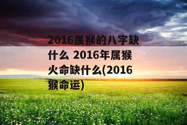 2016属猴的八字缺什么 2016年属猴火命缺什么(2016猴命运)