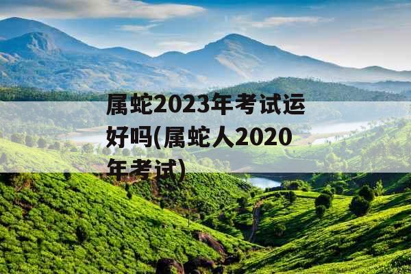 属蛇2023年考试运好吗(属蛇人2020年考试)