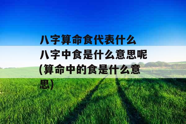 八字算命食代表什么 八字中食是什么意思呢(算命中的食是什么意思)