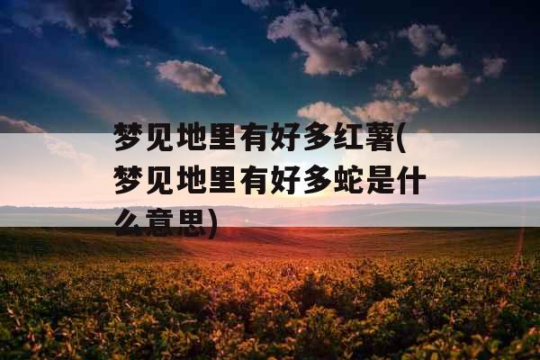 梦见地里有好多红薯(梦见地里有好多蛇是什么意思)