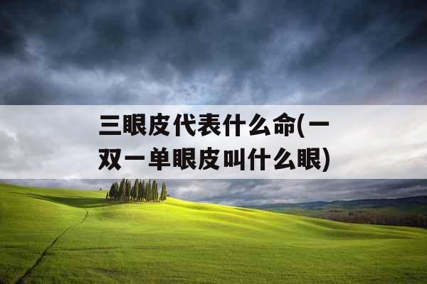 三眼皮代表什么命(一双一单眼皮叫什么眼)