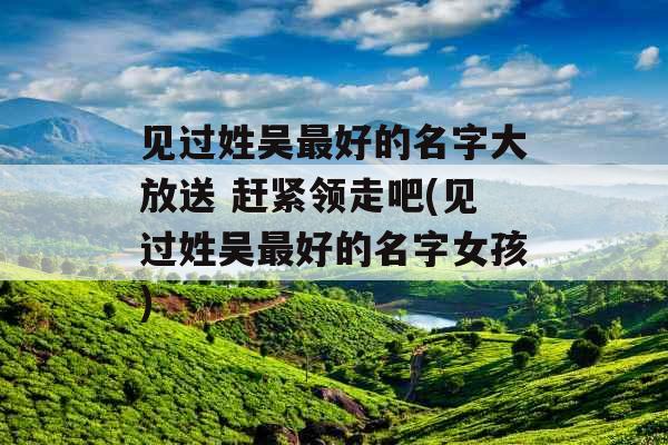 见过姓吴最好的名字大放送 赶紧领走吧(见过姓吴最好的名字女孩)