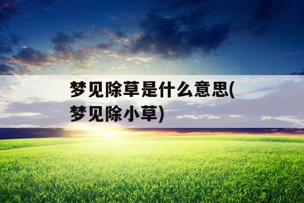 梦见除草是什么意思(梦见除小草) 梦见除草是什么意思(梦见除小草)