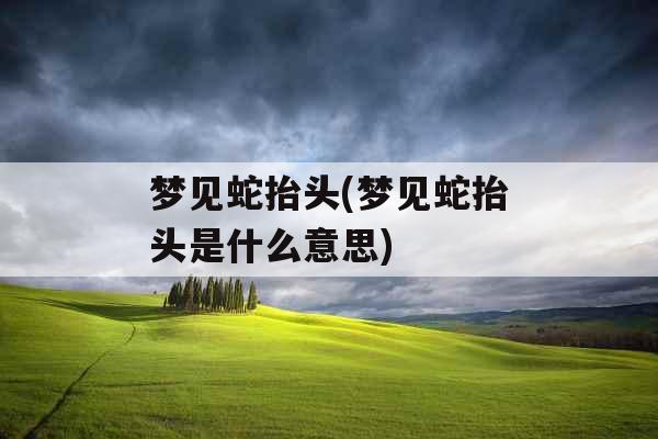 梦见蛇抬头(梦见蛇抬头是什么意思)