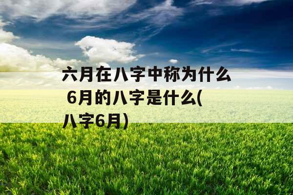 六月在八字中称为什么 6月的八字是什么(八字6月)