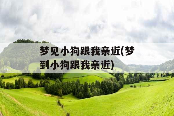 梦见小狗跟我亲近(梦到小狗跟我亲近)