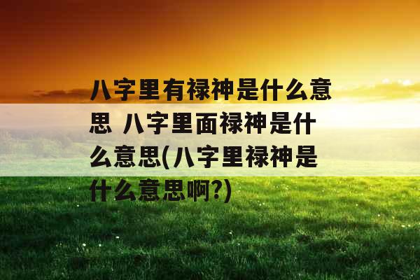 八字里有禄神是什么意思 八字里面禄神是什么意思(八字里禄神是什么意思啊?)