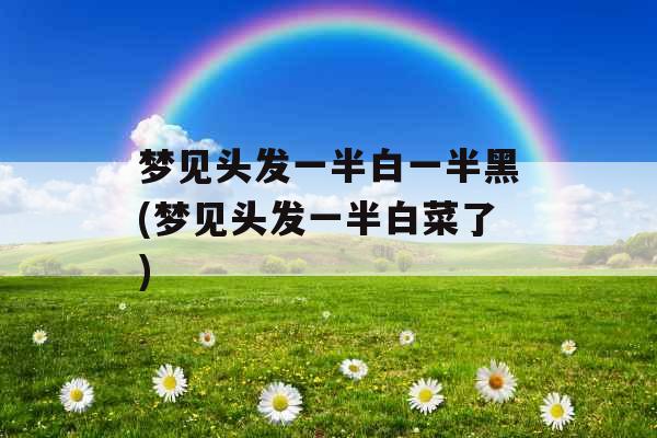 梦见头发一半白一半黑(梦见头发一半白菜了)