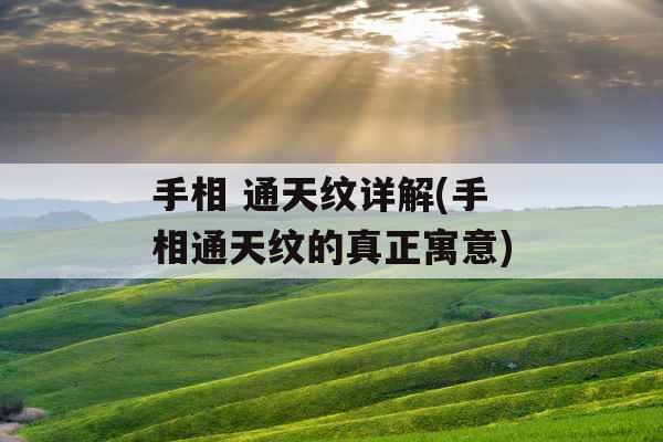 手相 通天纹详解(手相通天纹的真正寓意)