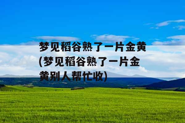 梦见稻谷熟了一片金黄(梦见稻谷熟了一片金黄别人帮忙收)