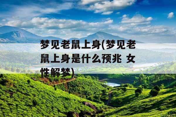 梦见老鼠上身(梦见老鼠上身是什么预兆 女性解梦)