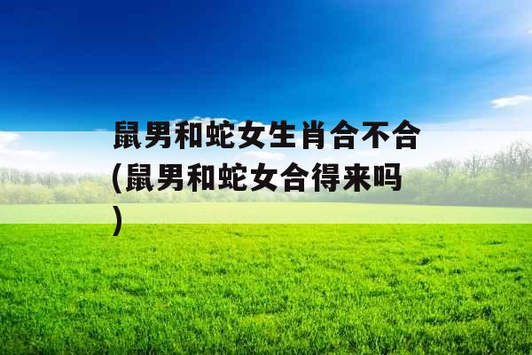 鼠男和蛇女生肖合不合(鼠男和蛇女合得来吗)