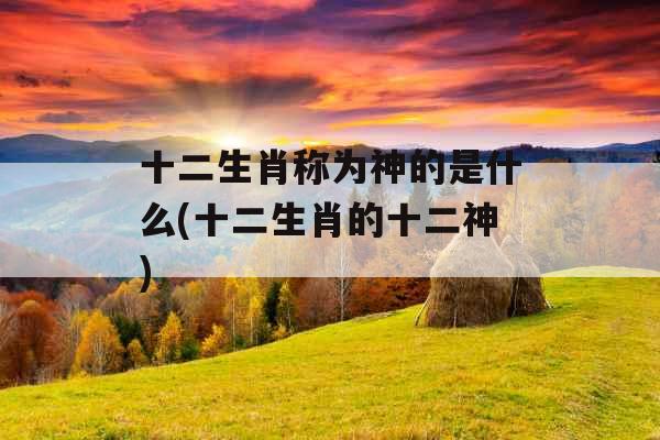 十二生肖称为神的是什么(十二生肖的十二神)