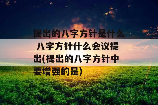 提出的八字方针是什么 八字方针什么会议提出(提出的八字方针中要增强的是)