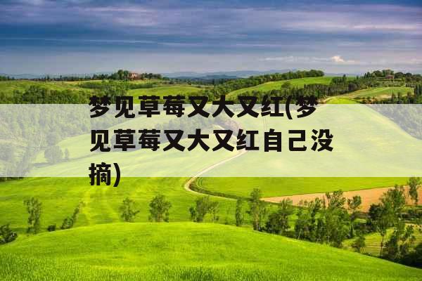 梦见草莓又大又红(梦见草莓又大又红自己没摘)