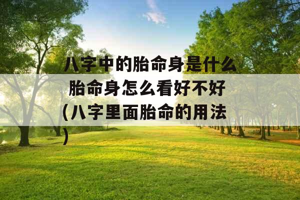 八字中的胎命身是什么 胎命身怎么看好不好(八字里面胎命的用法)