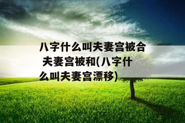 八字什么叫夫妻宫被合 夫妻宫被和(八字什么叫夫妻宫漂移) 八字什么叫夫妻宫被合 夫妻宫被和(八字什么叫夫妻宫漂移)