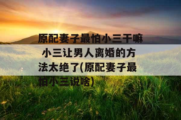 原配妻子最怕小三干嘛 小三让男人离婚的方法太绝了(原配妻子最怕小三说啥)