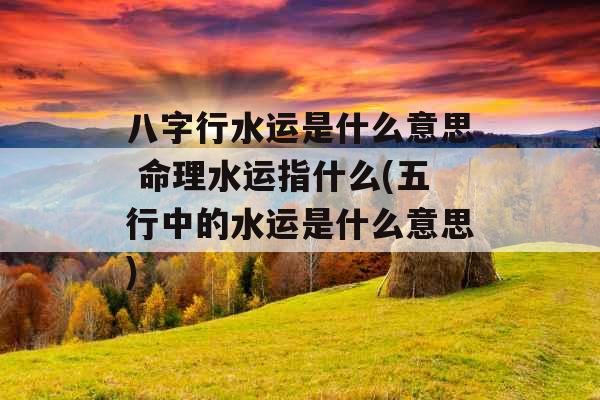 八字行水运是什么意思 命理水运指什么(五行中的水运是什么意思)
