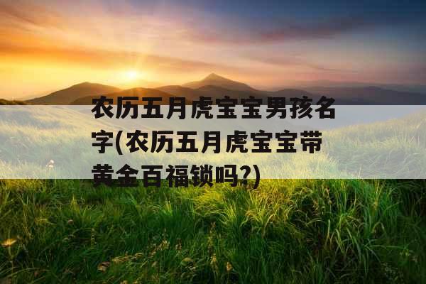 农历五月虎宝宝男孩名字(农历五月虎宝宝带黄金百福锁吗?)