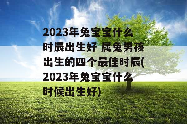 2023年兔宝宝什么时辰出生好 属兔男孩出生的四个最佳时辰(2023年兔宝宝什么时候出生好)