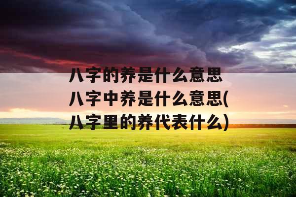 八字的养是什么意思 八字中养是什么意思(八字里的养代表什么)