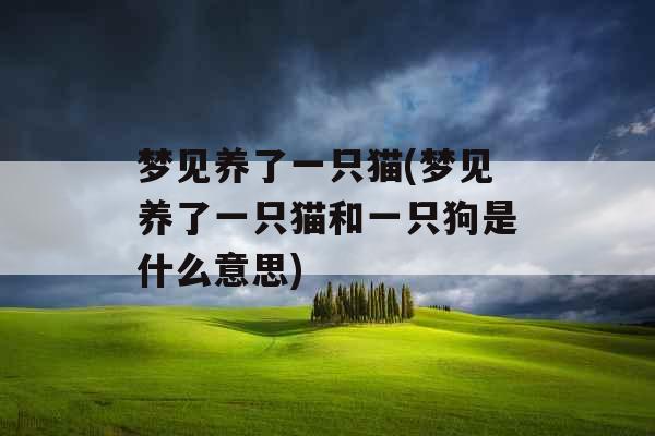 梦见养了一只猫(梦见养了一只猫和一只狗是什么意思)
