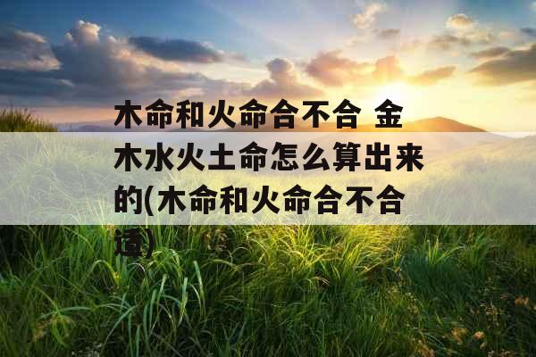 木命和火命合不合 金木水火土命怎么算出来的(木命和火命合不合适) 木命和火命合不合 金木水火土命怎么算出来的(木命和火命合不合适)