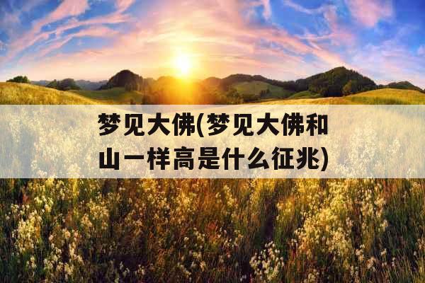 梦见大佛(梦见大佛和山一样高是什么征兆)