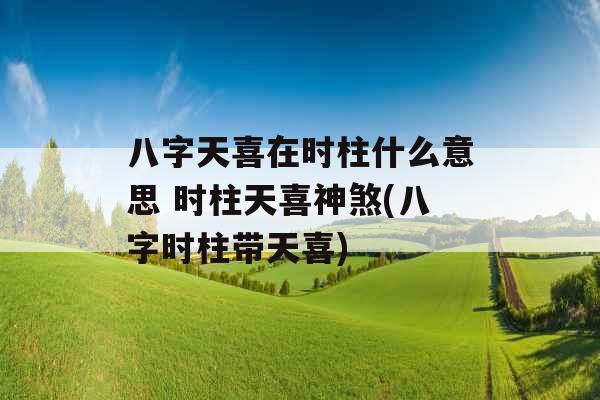 八字天喜在时柱什么意思 时柱天喜神煞(八字时柱带天喜)