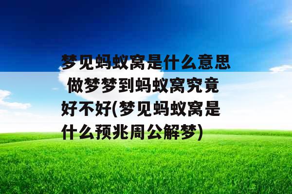 梦见蚂蚁窝是什么意思 做梦梦到蚂蚁窝究竟好不好(梦见蚂蚁窝是什么预兆周公解梦)