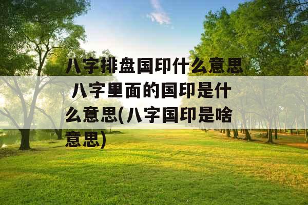 八字排盘国印什么意思 八字里面的国印是什么意思(八字国印是啥意思)