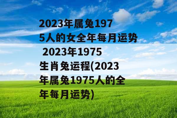 2023年属兔1975人的女全年每月运势 2023年1975生肖兔运程(2023年属兔1975人的全年每月运势)