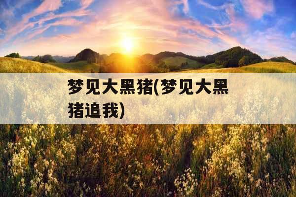 梦见大黑猪(梦见大黑猪追我)