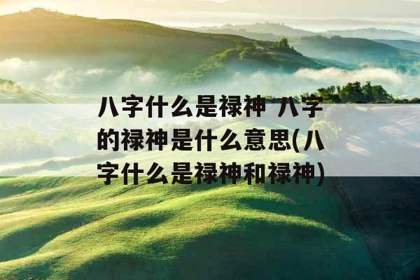 八字什么是禄神 八字的禄神是什么意思(八字什么是禄神和禄神)